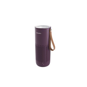 Portable Air Purifier