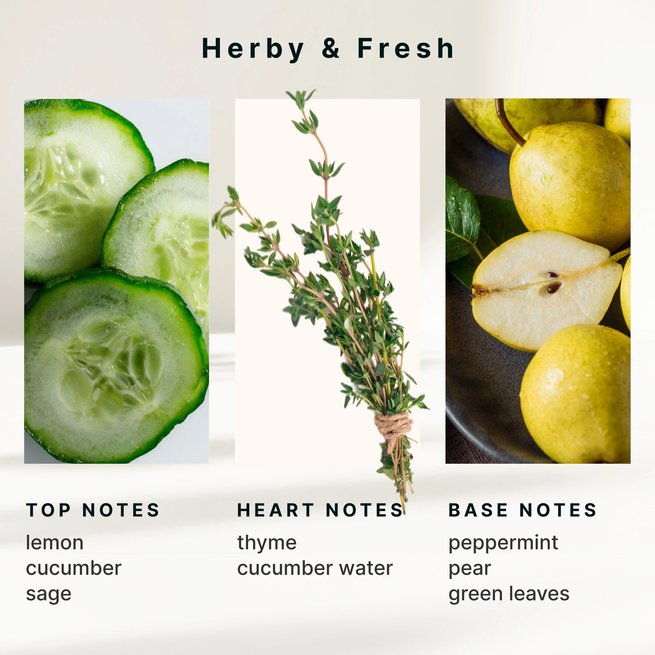 SereneScent Cucumber & Sage - Image 6