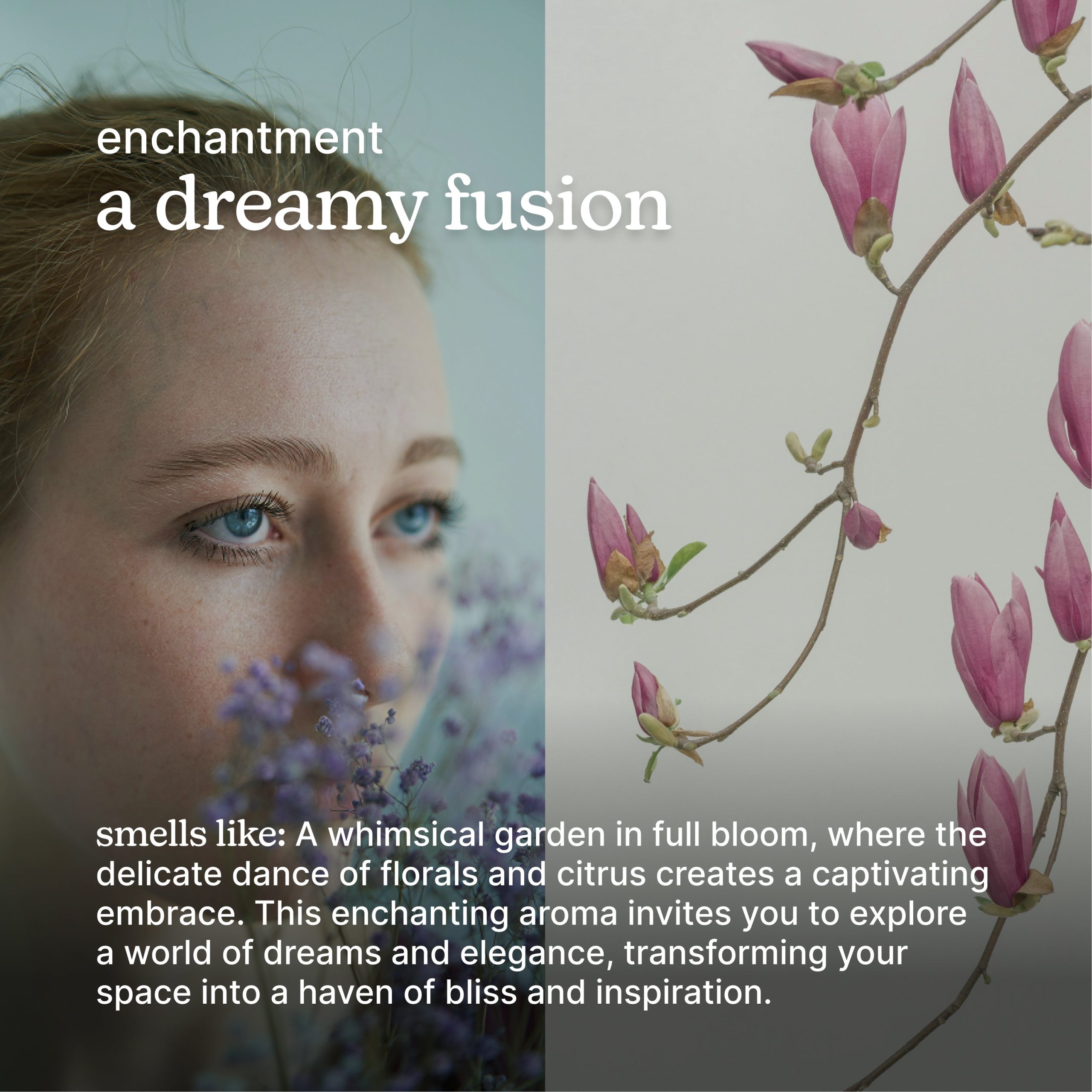 SereneScent Enchantment - Image 3