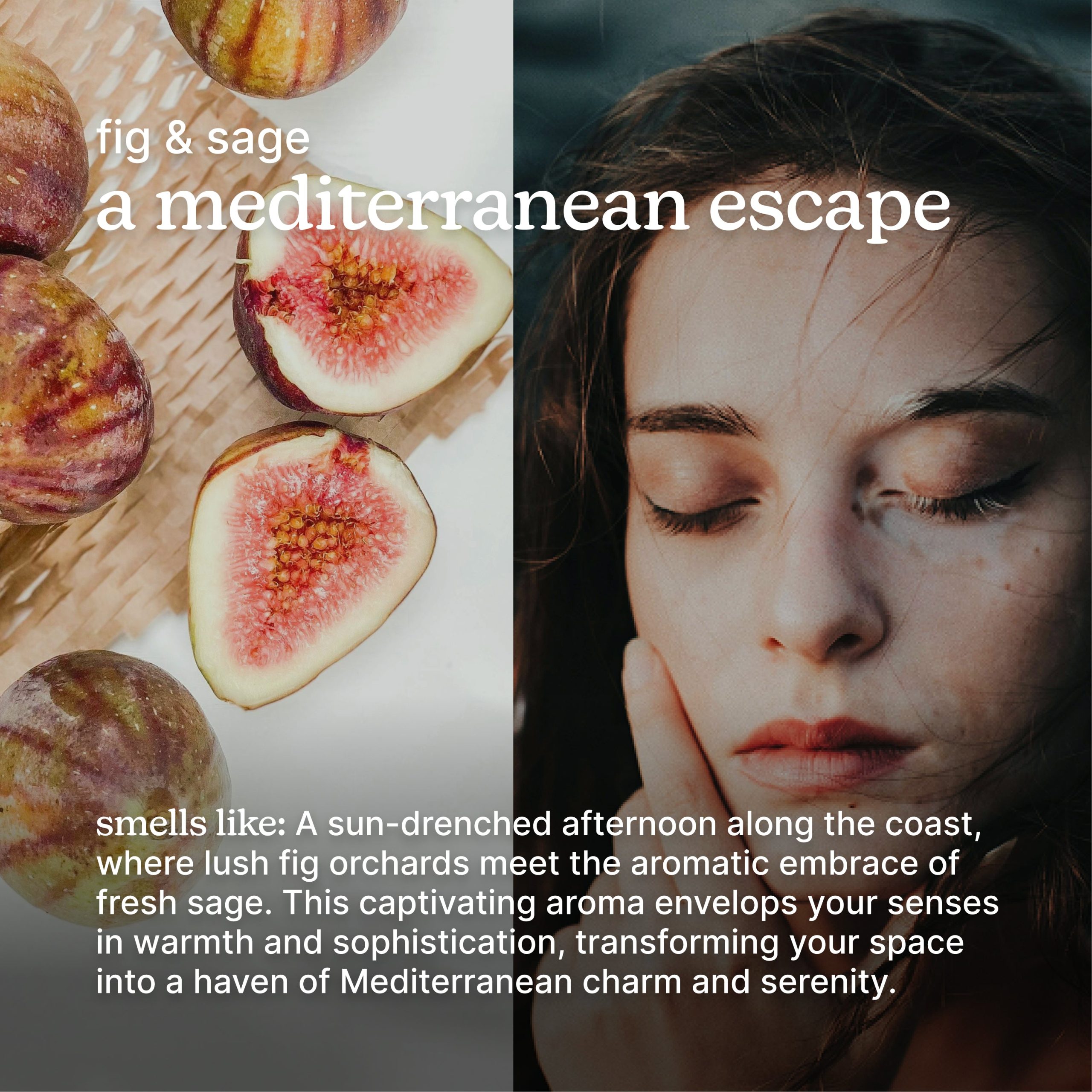 SereneScent Fig & Sage - Image 3