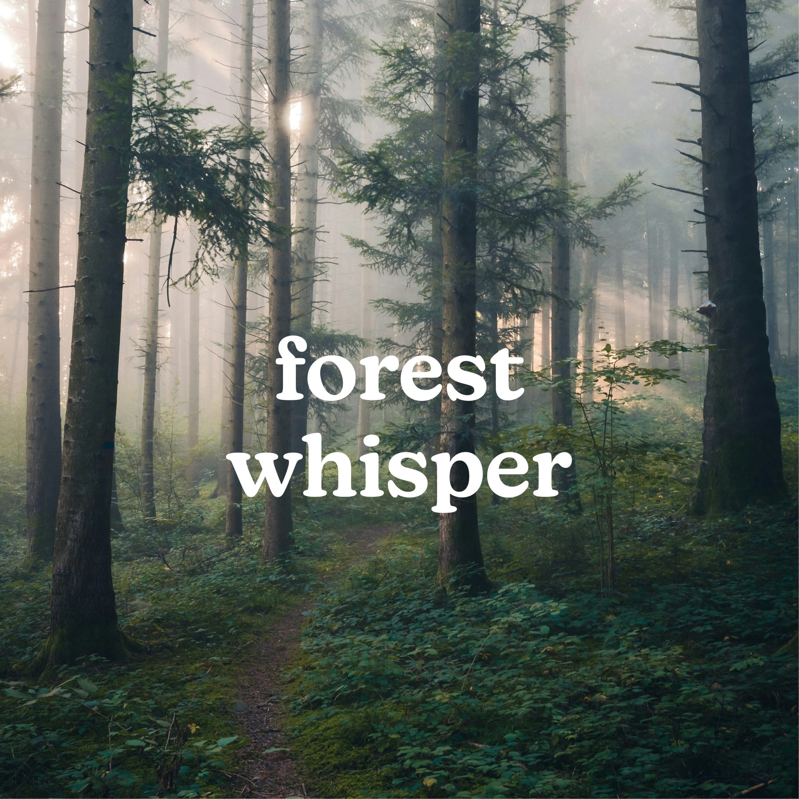 SereneScent Forest Whisper - Image 2