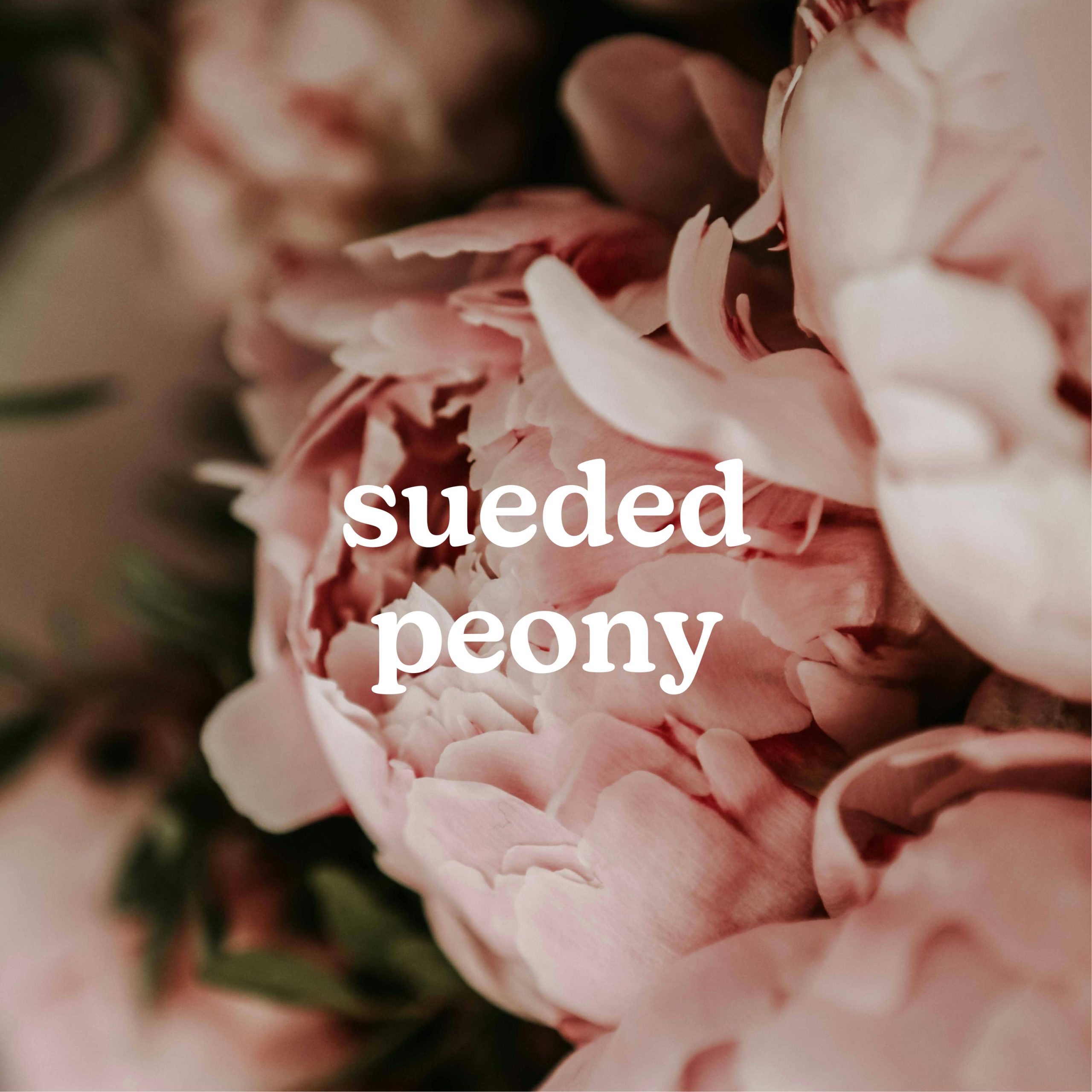 SereneScent Sueded Peony - Image 2
